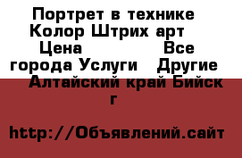 Портрет в технике “Колор-Штрих-арт“ › Цена ­ 250-350 - Все города Услуги » Другие   . Алтайский край,Бийск г.